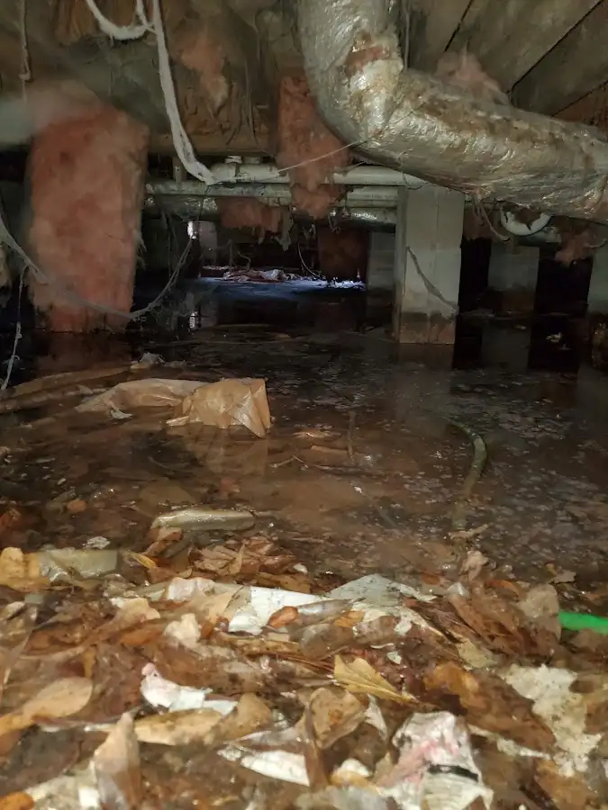 Crawl space flood assessment for Leak Detection & Repair in Yukon