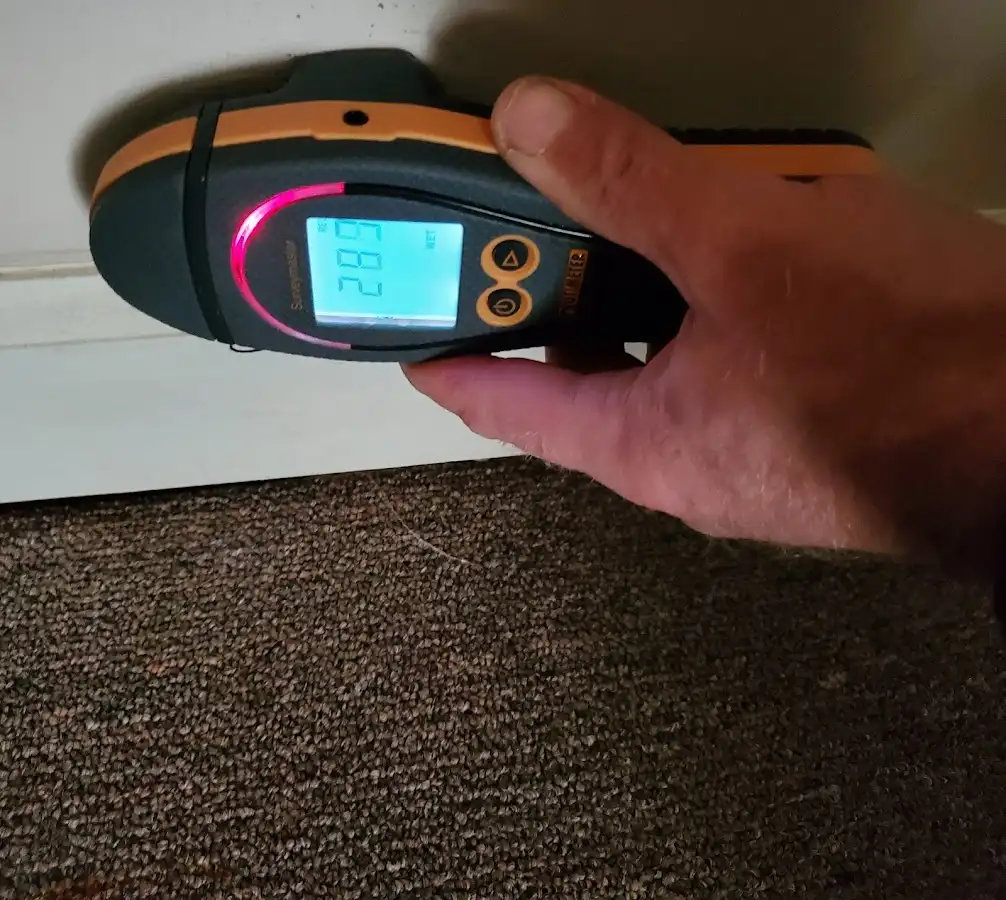 Moisture detection at baseboard during Mold Inspection & Testing in Yukon